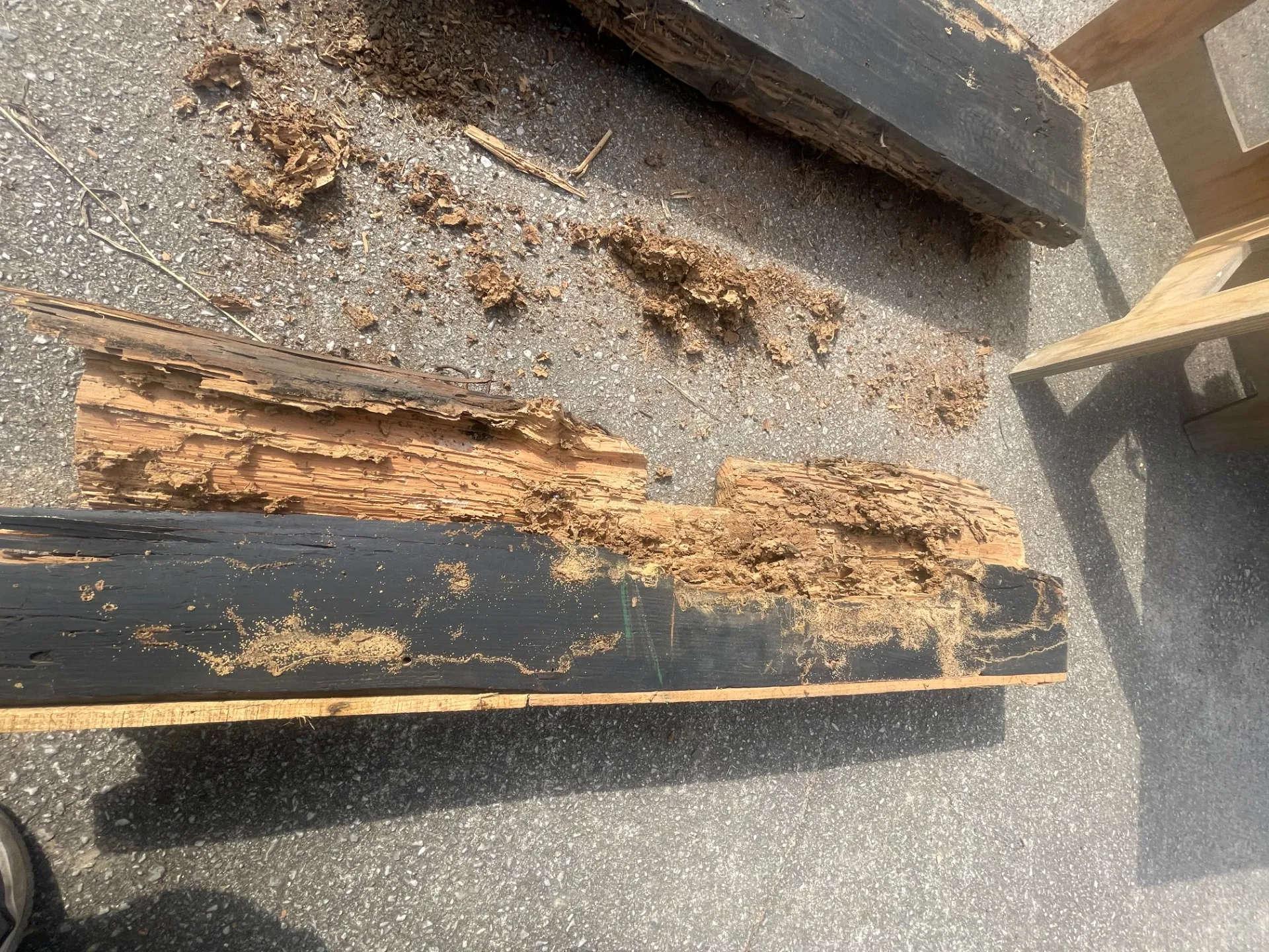 シロアリ被害の続編となります