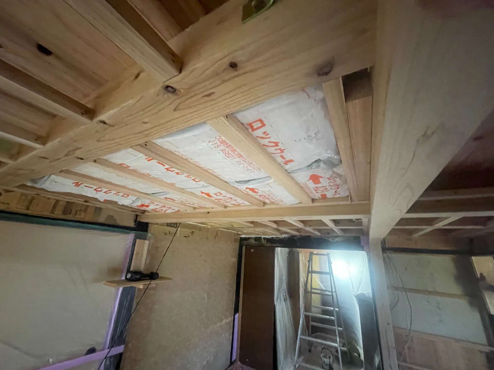 シロアリ被害　その後