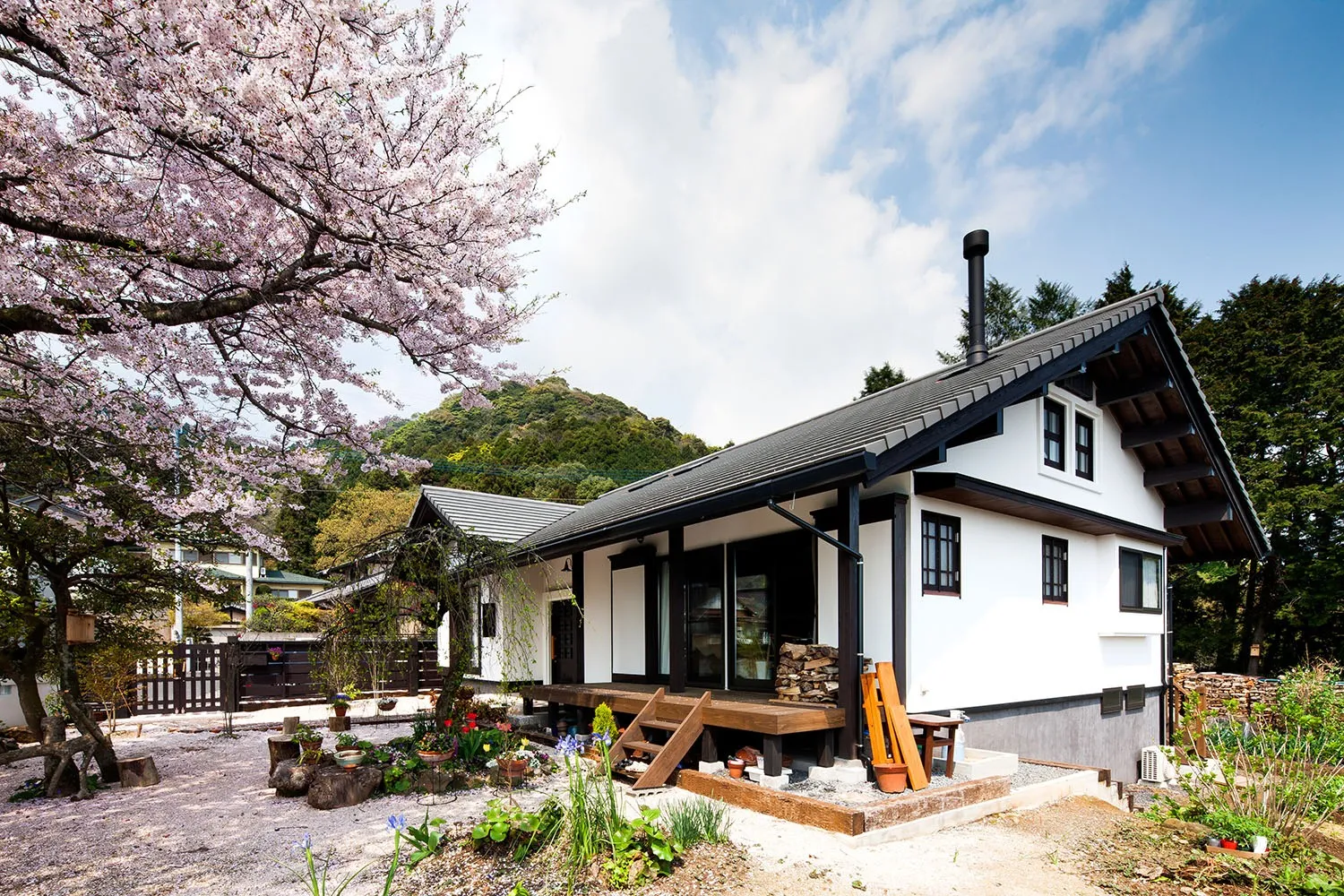 大桜のある家