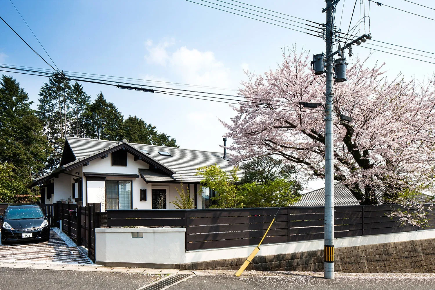 大桜のある家。<br>(毎年、自宅での花見　この季節が楽しみの一つです)