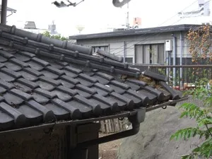 空き家状態が長かったせいか3ｍの木が生えていたり、湿気やシロアリで傷んでいたり、屋根の瓦が落ちそうになっていたり、さまざまな障害をはねのけて再生に至りました。<br>これでもう100年暮らせるすみかになりました。
